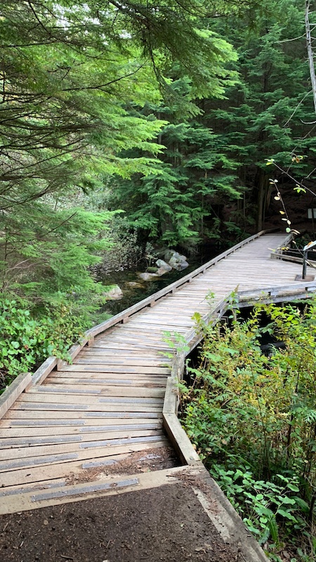 Woodhaven Swamp Loop Trail Hiking Trail - Belcarra