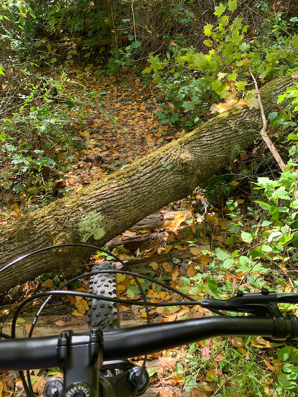 Yellow Singletrack Ridge Trail Multi Trail East Granby