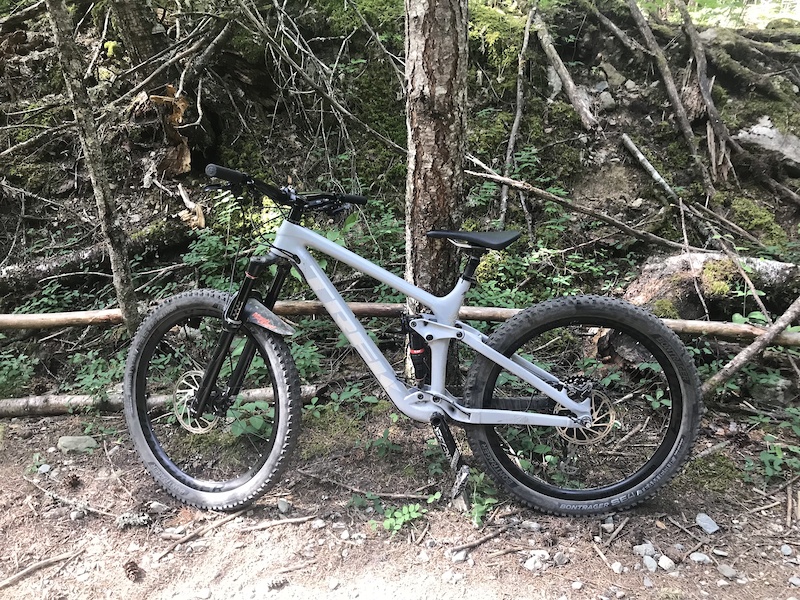 trek remedy 9 2019