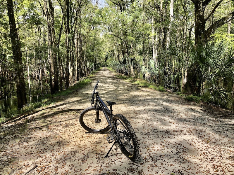 Bald Cypress Mountain Biking Trail Thonotosassa, FL