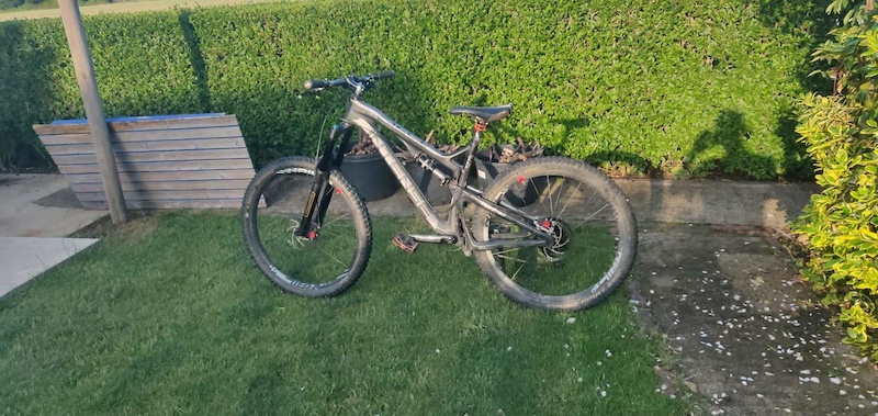 7 speed beach cruiser bike