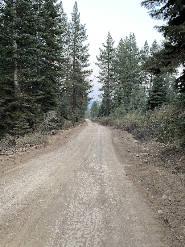Jackass Road Multi Trail Truckee, California