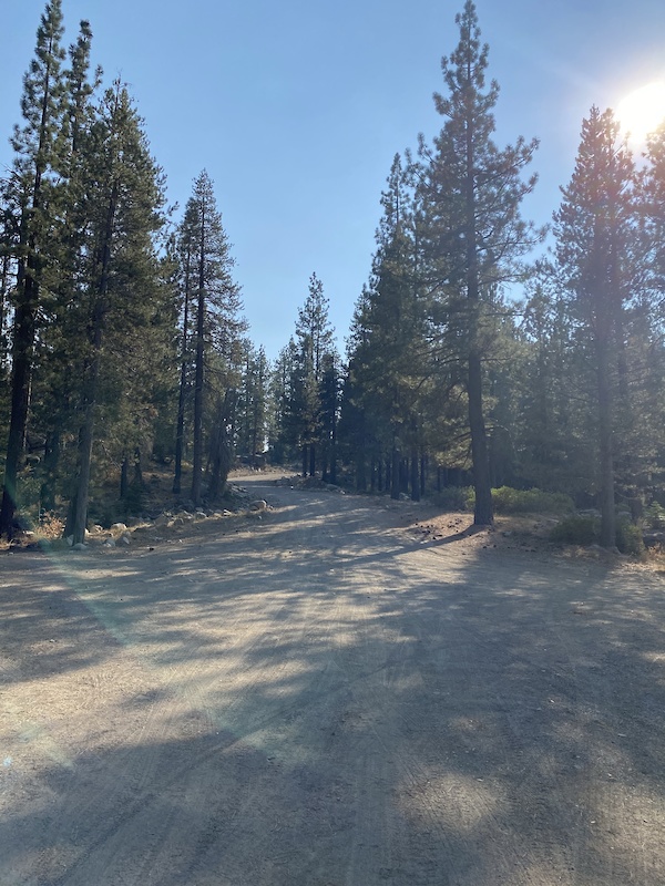 Cold Stream Road Multi Trail - Truckee, California