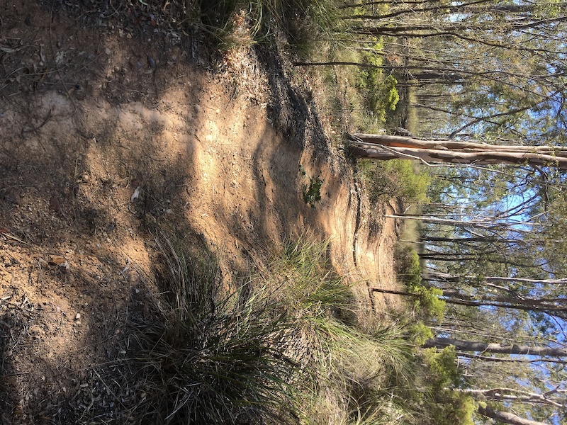 Hillview Drive Circuit Mountain Biking Trail Ipswich