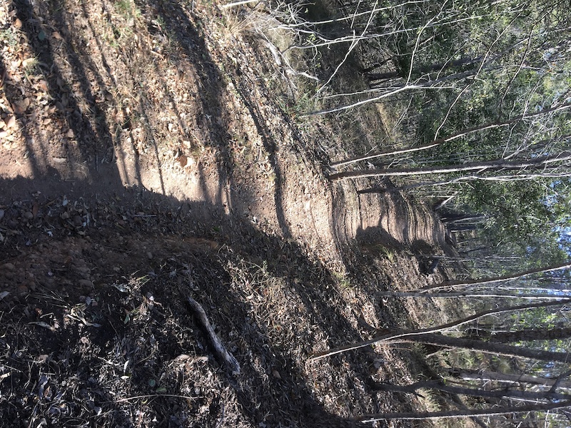 Hillview Drive Circuit Mountain Biking Trail Ipswich