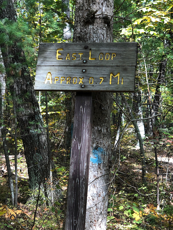 Sheep's Paddock Mountain Biking Trail Windham, NH