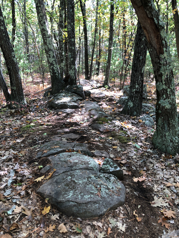 Karen's Dream Mountain Biking Trail Windham, NH