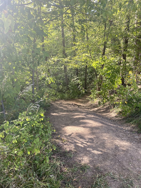 16 Mile Creek Loop Mountain Biking Trail - Oakville