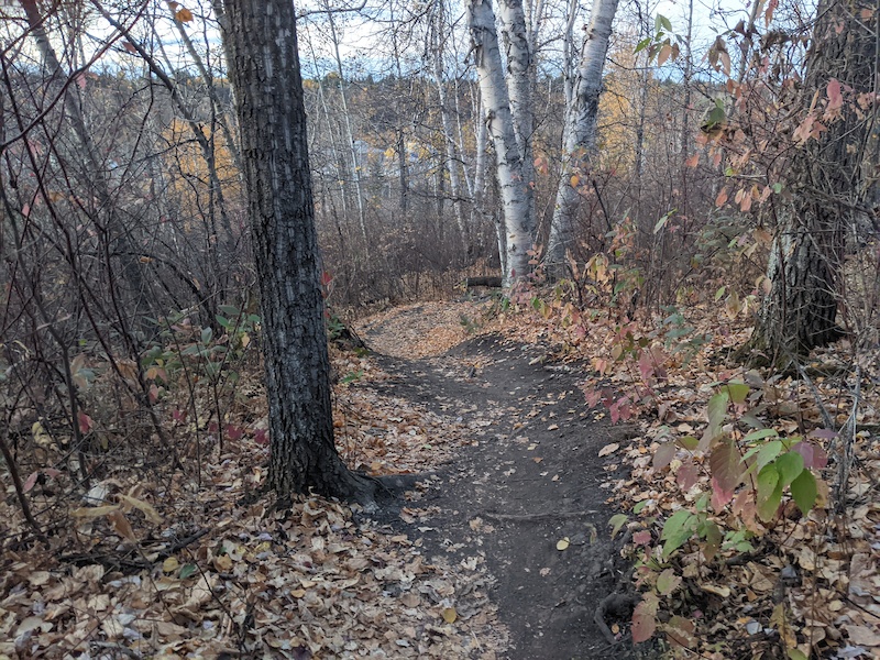 Speed Normal Bike Racer in Edmonton, Alberta, Canada - photo by cam-rides-bikes - Pinkbike