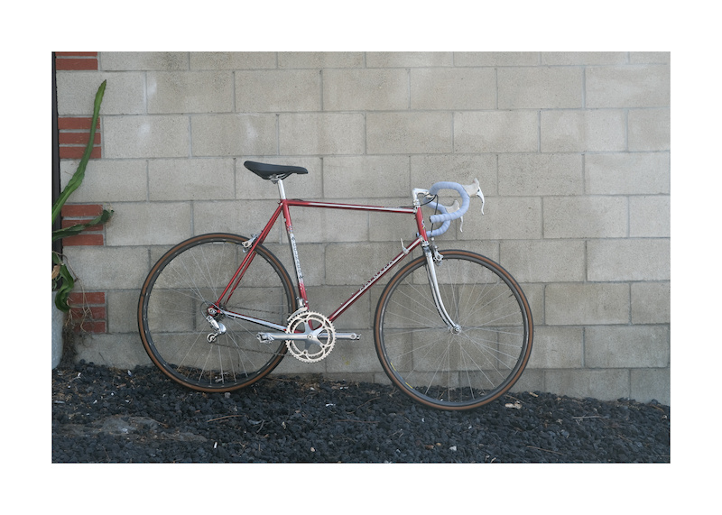 colnago master vintage