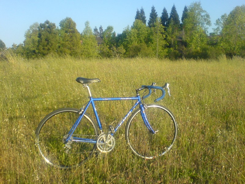 A neighbor was throwing this out a few years ago.  I restored it (it just needed to be cleaned, tuned and a pair of new tires).

true temper frame 
shitty aluminum fork
105 gruppo w/ STI levers
salsa stem
new shimano wheels that hombre3000 found 
terry liberator ti race saddle
ritchey logic headset
snafu DJ pedals
continental sport ultras
forte grip tape
profile bars
2 bottle cages