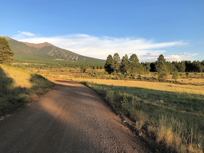 FR 151/Hart Prairie Multi Trail Flagstaff, Arizona