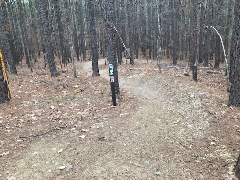 Dewdropper Mountain Biking Trail Hot Springs, Arkansas