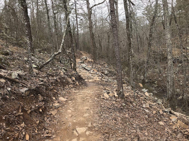 Bethel Mountain Biking Trail Hot Springs, Arkansas