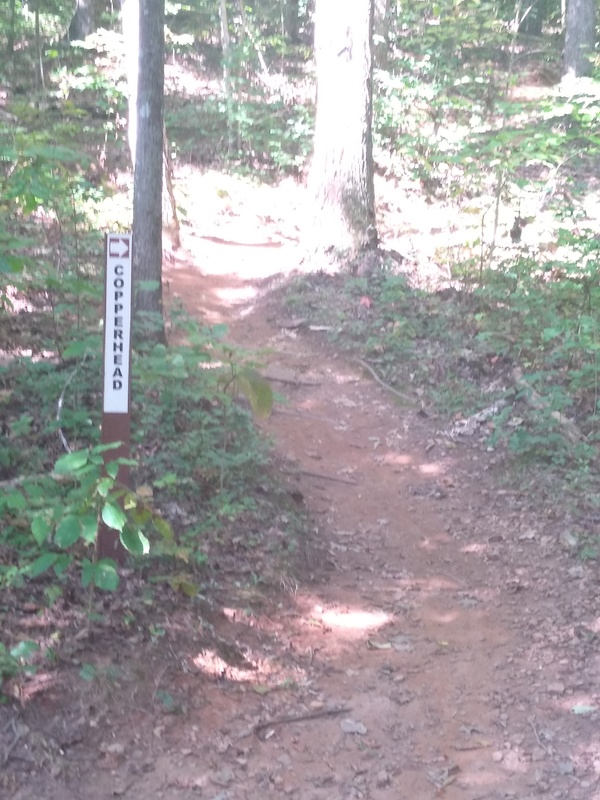 Upper Copperhead Mountain Biking Trail Collegedale