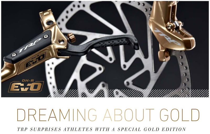 gold mtb brakes