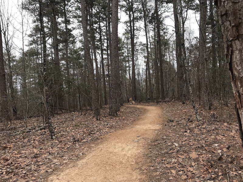 Nighthawk Mountain Biking Trail Hot Springs, Arkansas