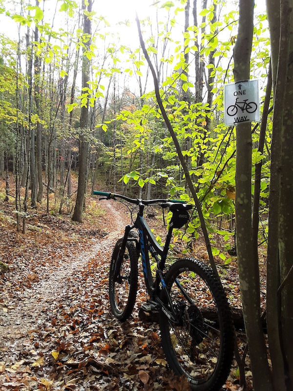 Snipe Hill Loop Mountain Biking Trail - Montpelier