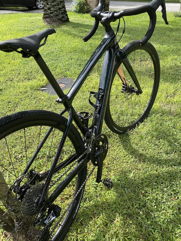 specialized diverge sport carbon forest green