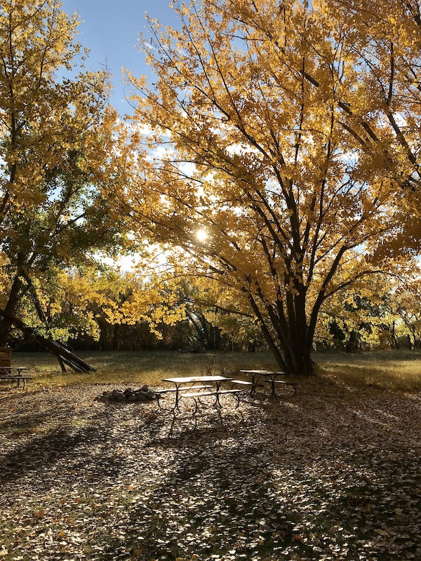 Police Point Mountain Biking Trail - Medicine Hat, AB