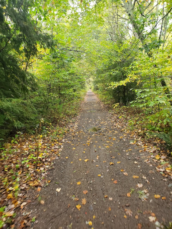 Moosup Valley State Park Trail Mountain Biking Trail Plainfield, CT