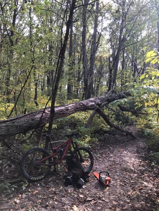 ccm revenge mountain bike