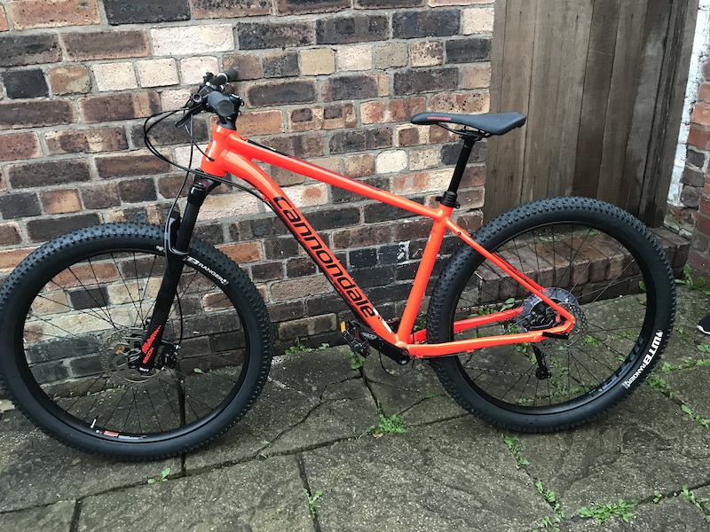 2019 Cannondale cujo For Sale