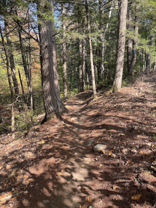 Double Helix Mountain Biking Trail Bethel, Maine