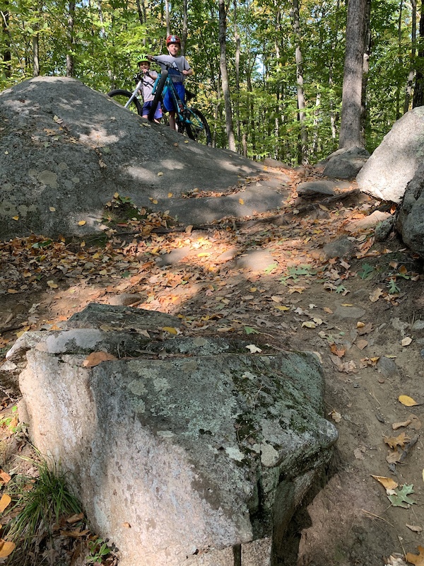 Demoralizer (Hillzilla) Mountain Biking Trail Exeter