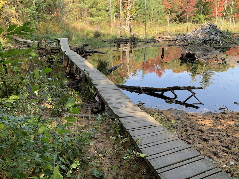 Bridges Mountain Biking Trail Exeter, New Hampshire