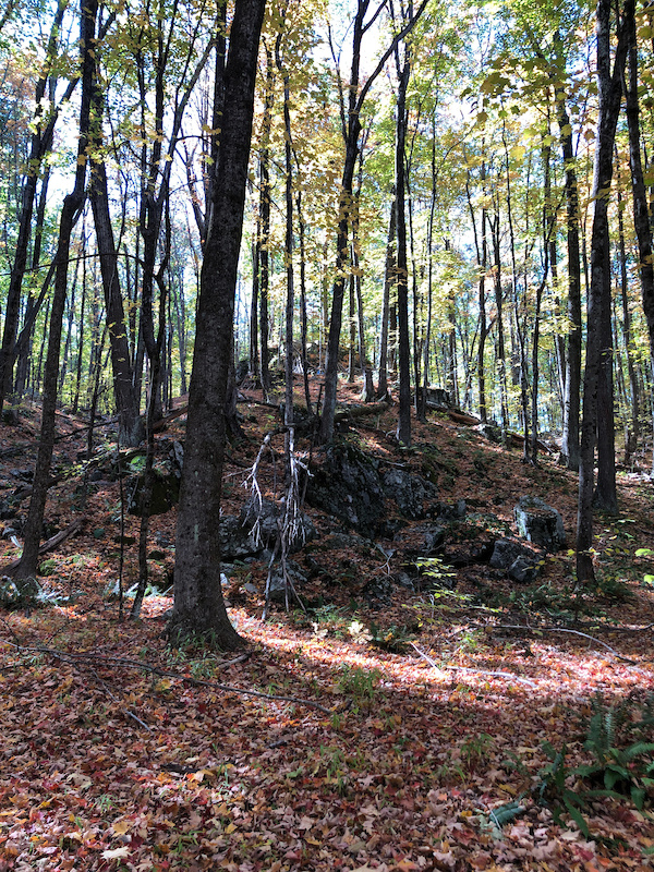 Play Ball Mountain Biking Trail Windham, New Hampshire