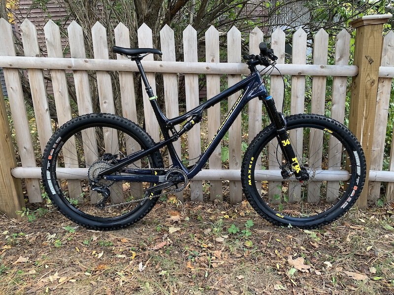 mt wolf mountain bike