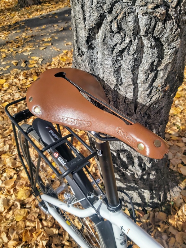 2009 Cannondale T1 For Sale