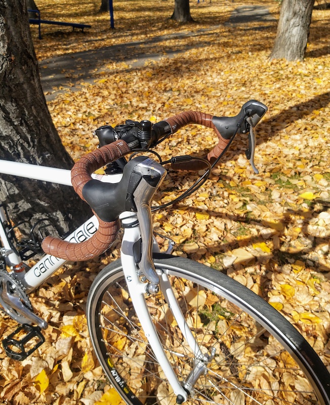 2009 Cannondale T1 For Sale