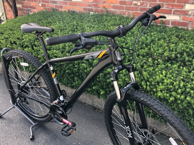 raleigh talus 3.0 used for sale