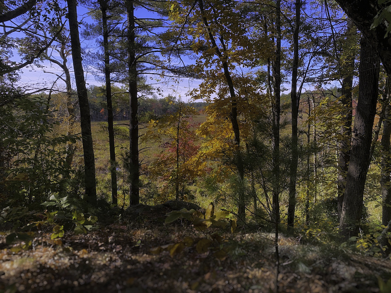 paradise loop bike ride