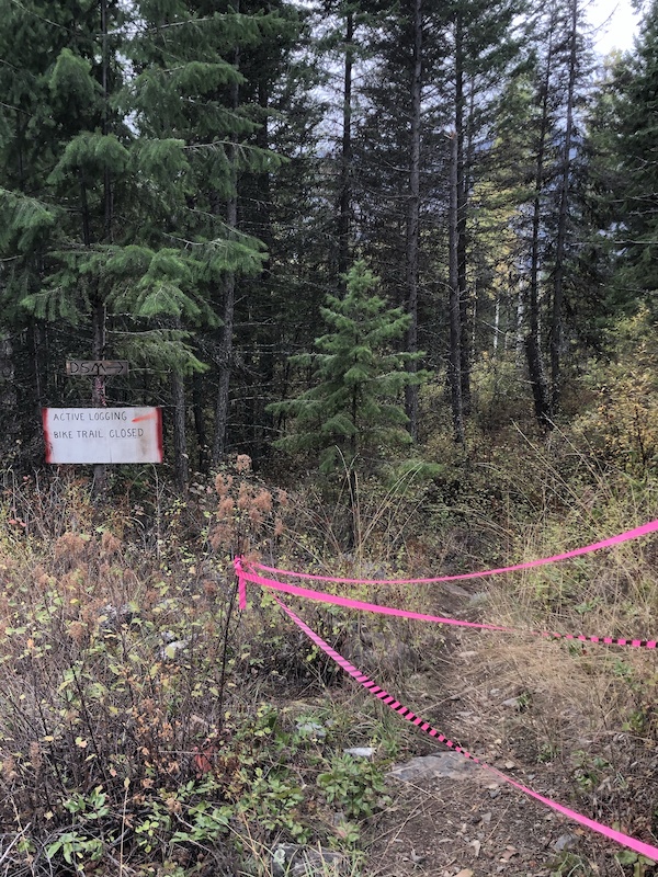 Fife Road Trails, Christina Lake Mountain Biking Trails Trailforks