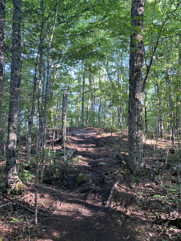 Area 51 Mountain Biking Trail - Bracebridge, Ontario