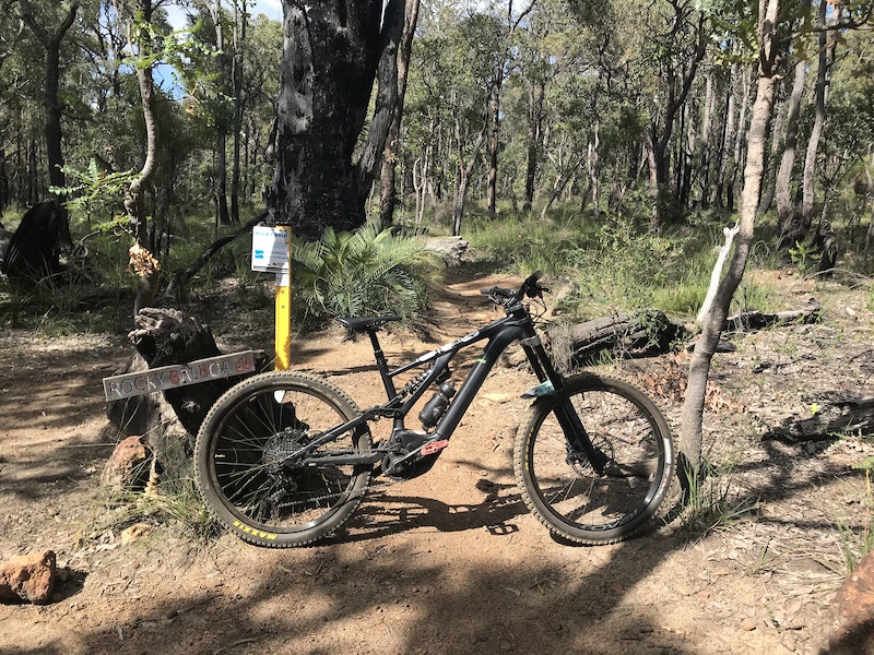 camel farm mtb