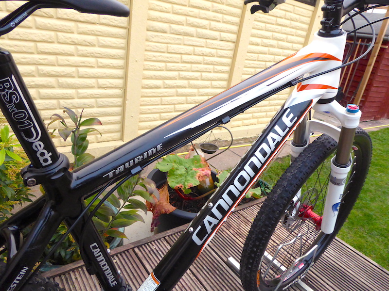 cannondale taurine frame