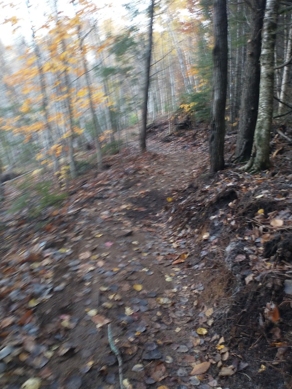 Millinocket Town Trails, Millinocket Mountain Biking Trails Trailforks
