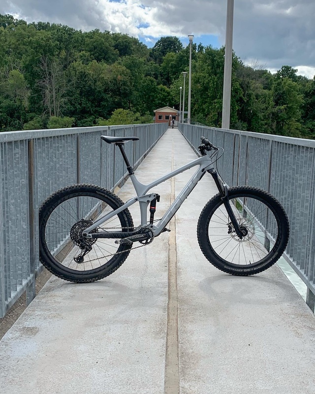 2019 trek remedy 9.9