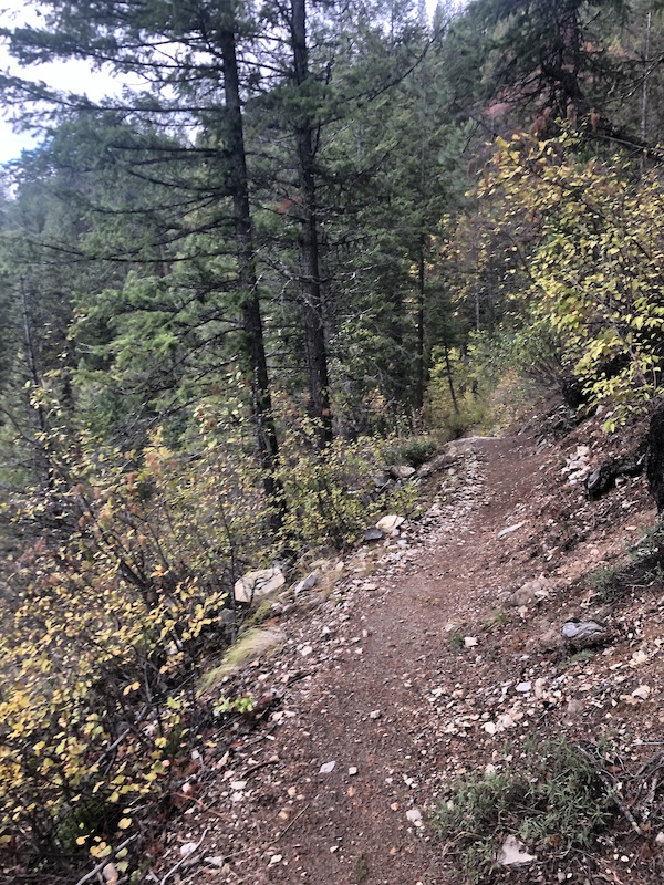 Deer Point Trail Mountain Biking Trail - Christina Lake