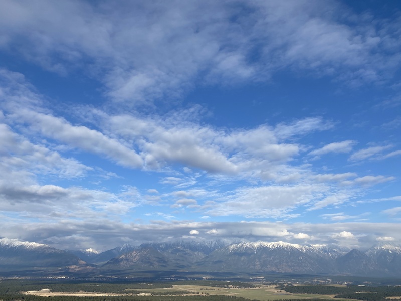 Upper Tapeworm Mountain Biking Trail Cranbrook, BC