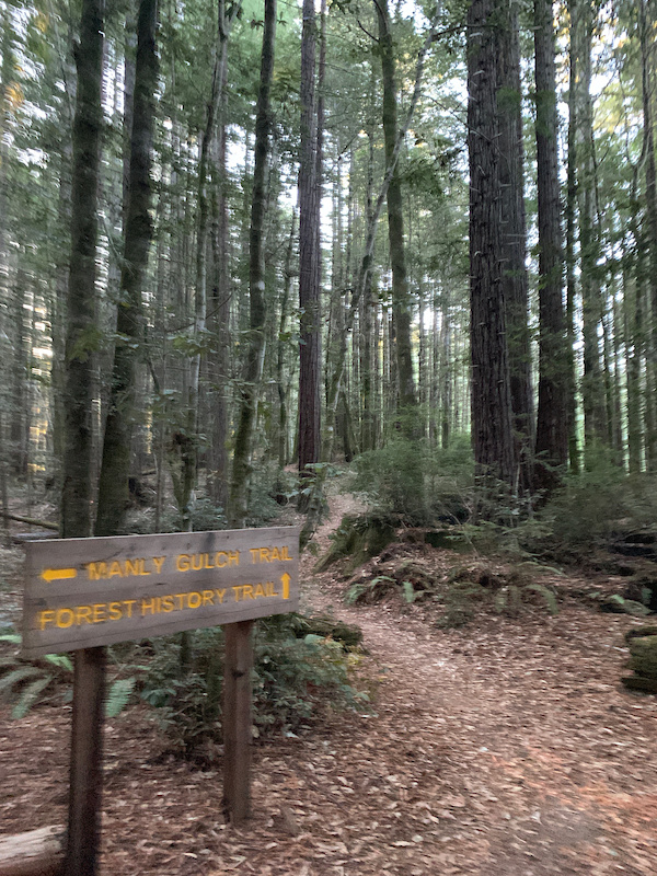 Edt Distance Map Mendo Big Ride - Scales area Mountain Biking Route | Trailforks