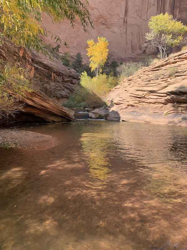 Mill Creek North Fork Hiking Trail Moab, Utah