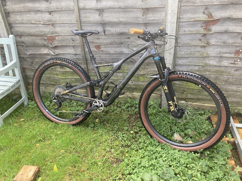 2019 stumpjumper carbon