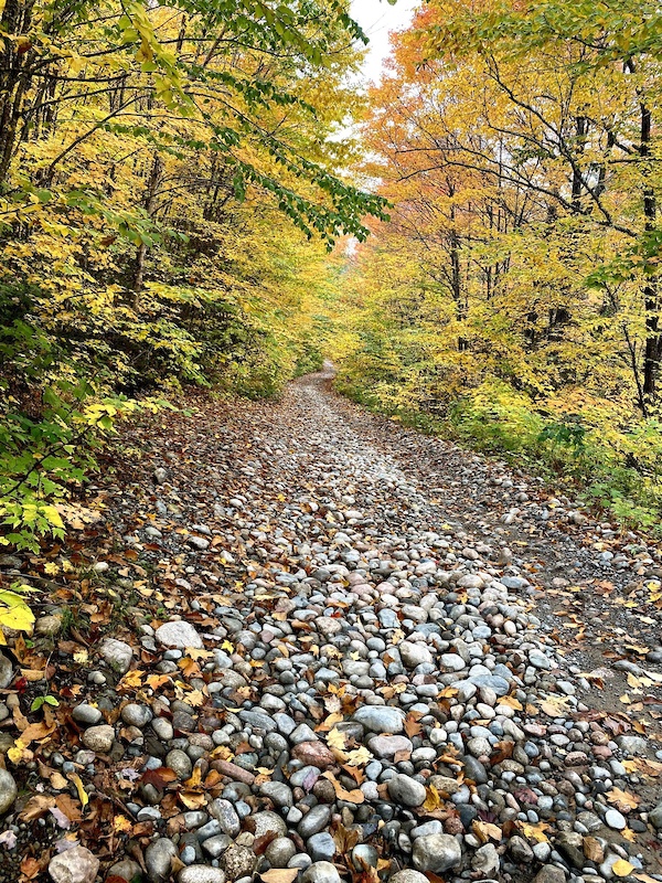 camba mountain bike trails