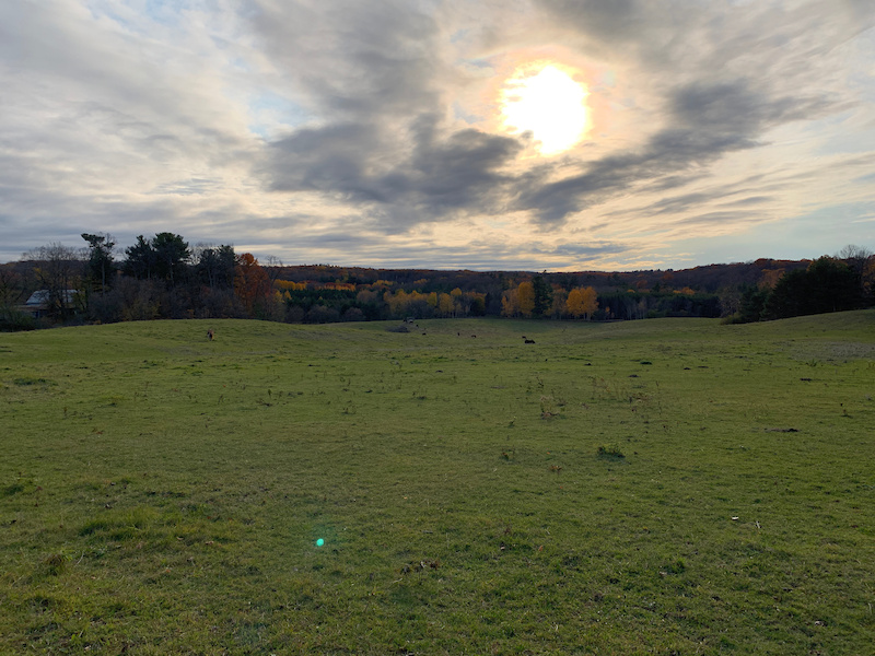 The Great Trail (Brookdale Trail) Mountain Biking Trail Uxbridge