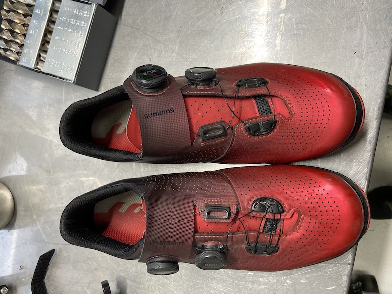 shimano 2019 shoes